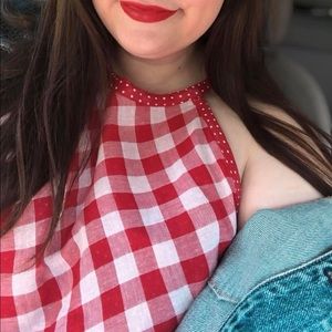 Gingham Red Picnic Dress